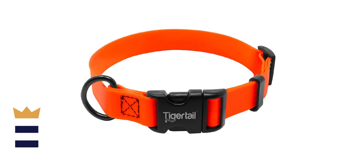 Tiger Tail Urban Nomad Dog Collar