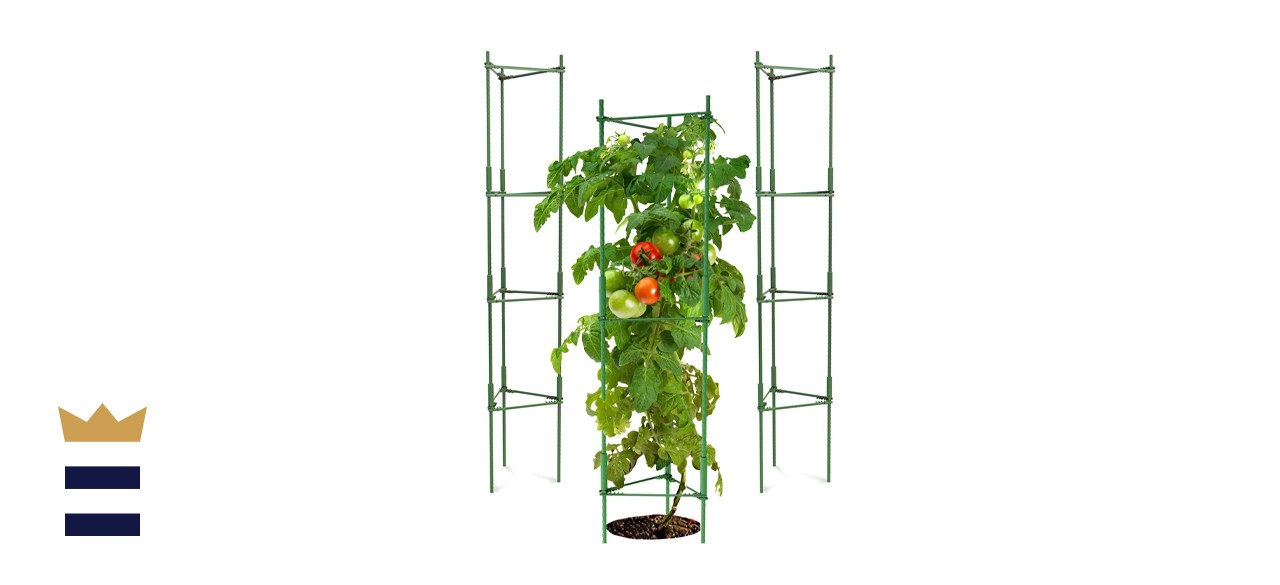 tomato cage