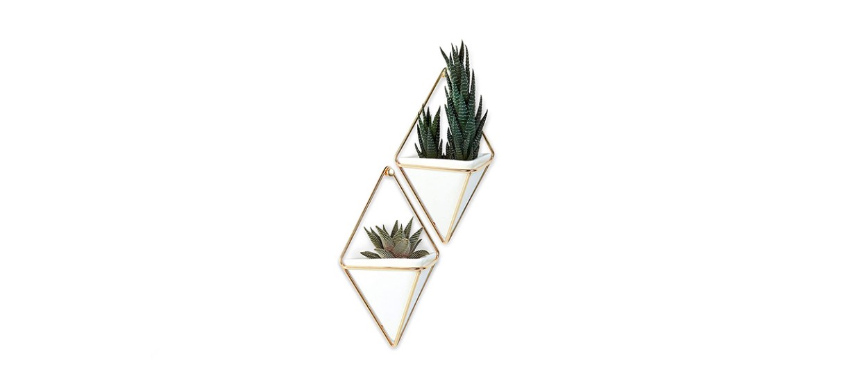 Umbra Trigg Hanging Planter