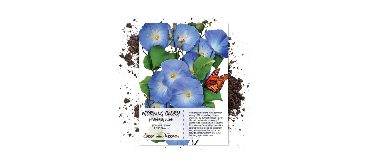  Seed Needs Heavenly Blue Morning Glory Seeds