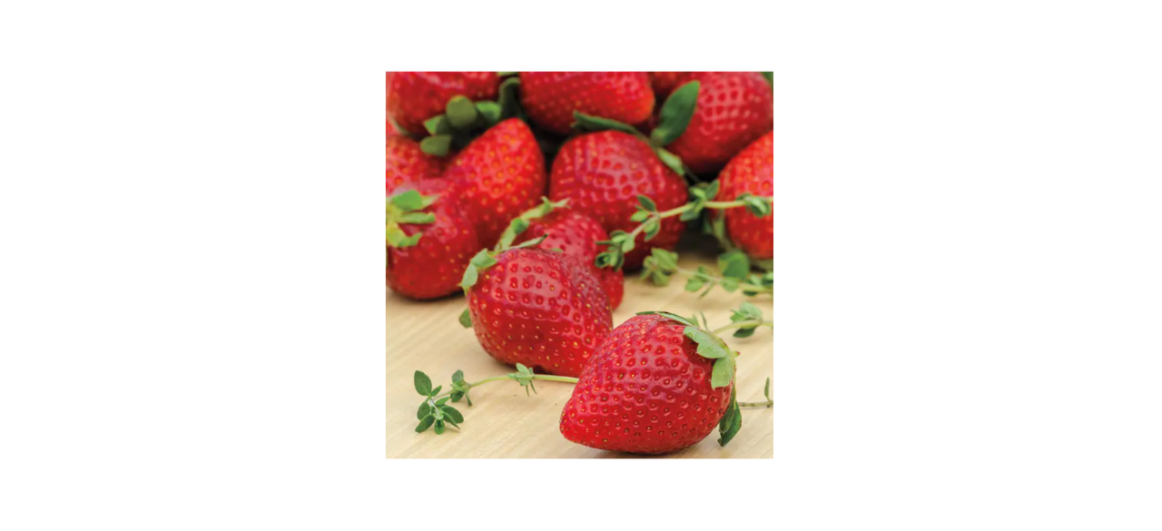 Gurney’s Ozark Beauty Strawberry Plants (25-Pack)