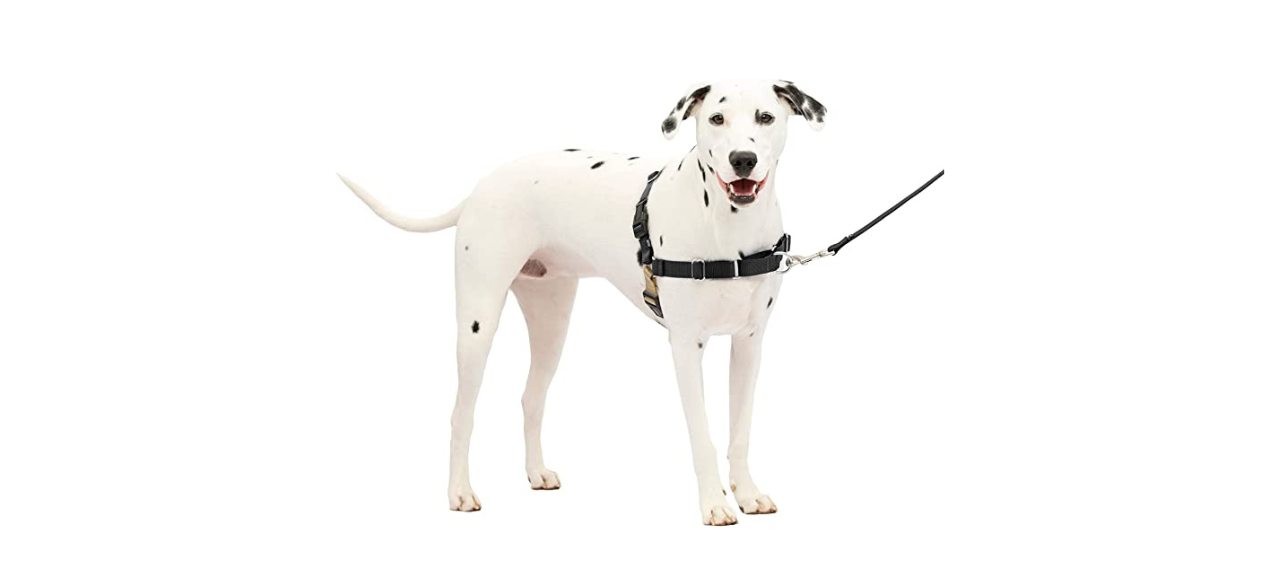 PetSafe Easy Walk Dog Harness