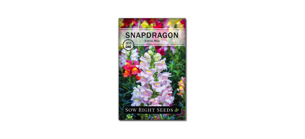 Sow Right Seeds Snapdragon Flower Seeds