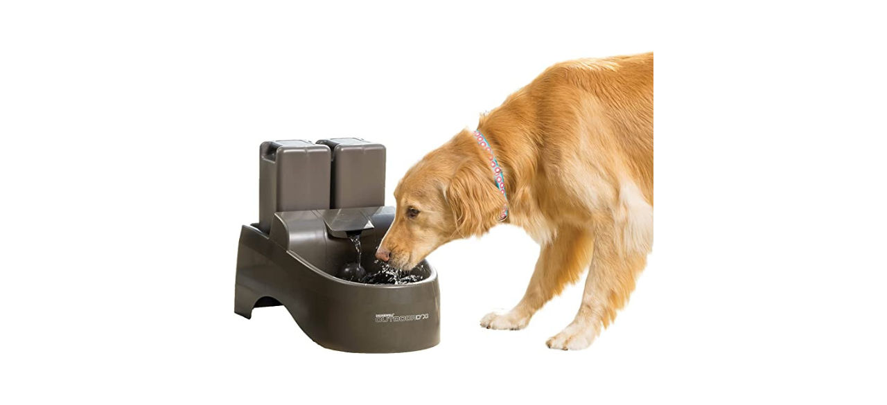 PetSafe Drinkwell Pet Water Fountain