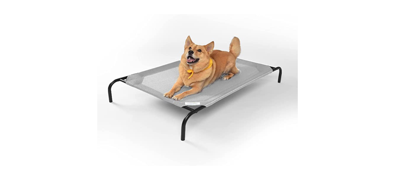 Coolaroo Original Cooling Elevated Pet Bed