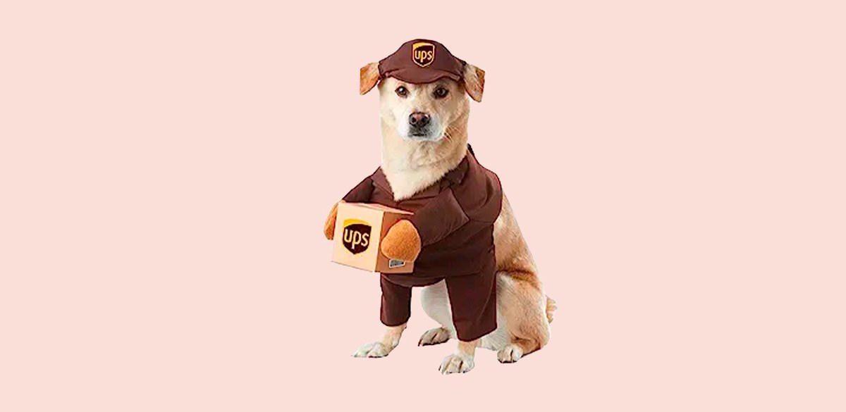 Best UPS Dog Costume Best UPS Dog Costume