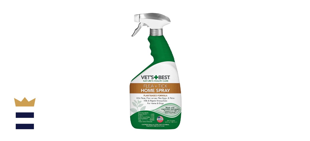 The best flea spray for home Fox 8 Cleveland WJW