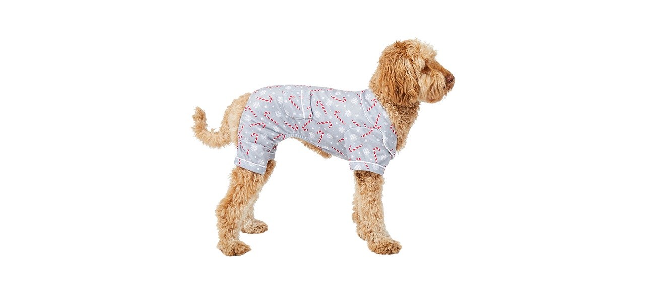 Wagatude Candy Cane Print Dog Pajamas