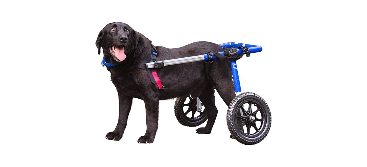 Walking Wheels Dog Wheelchair For Large Dogs