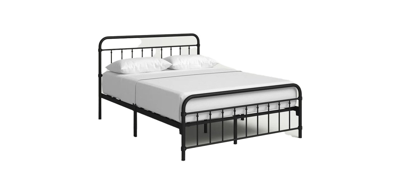 Chuckanut Metal Bed on white background