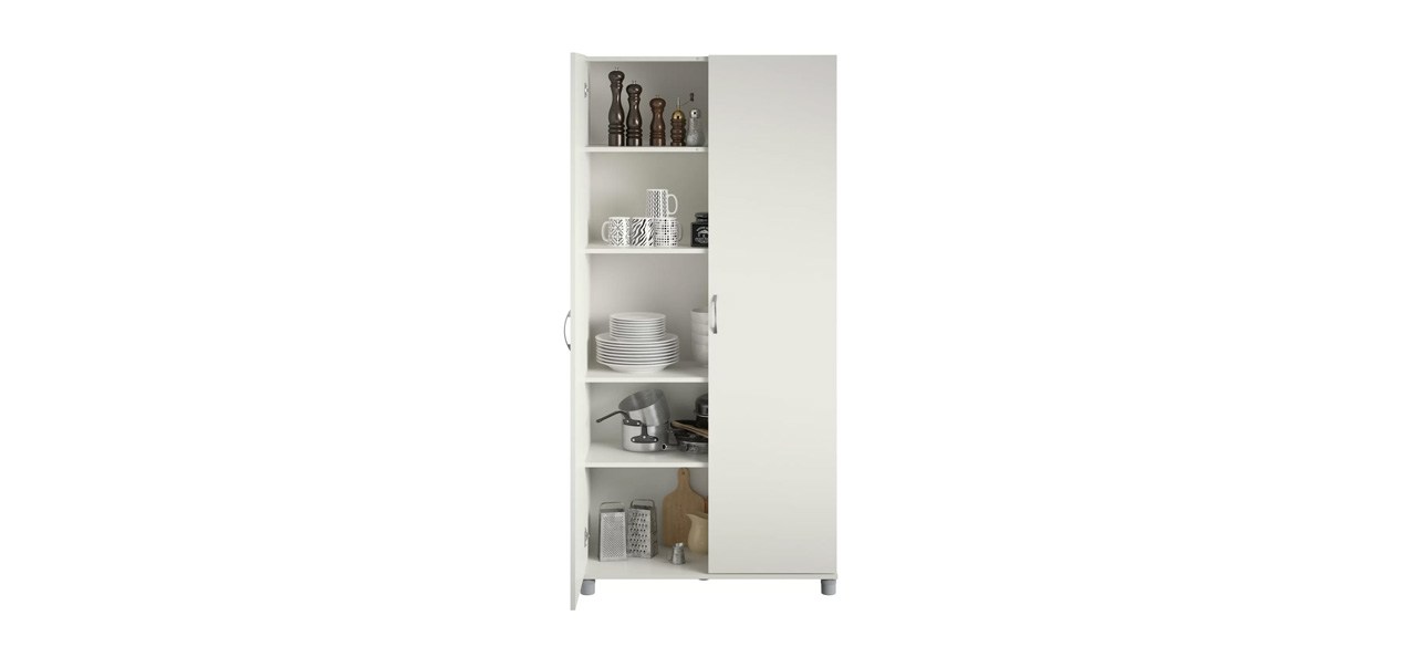 Wayfair Basics Aaru Storage Cabinet on white background