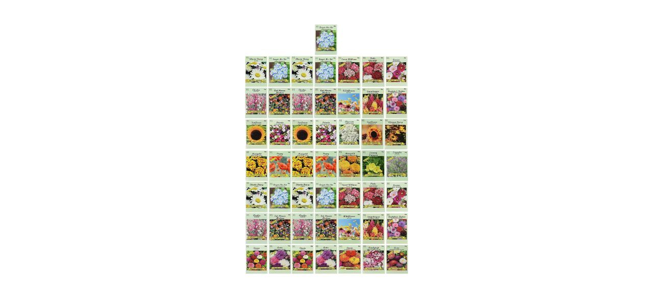 Black Duck Brand Set of 50 Bulk Flower Seed Packets