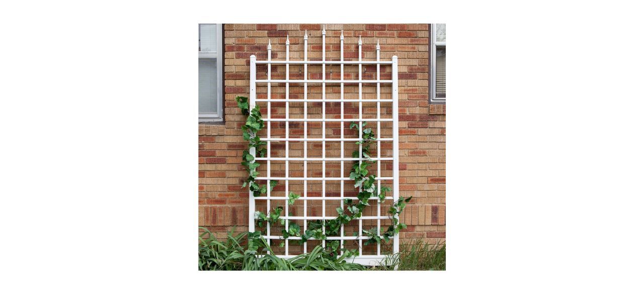 DuraTrel Winchester 57-by-96-Inch White Vinyl Wall Trellis