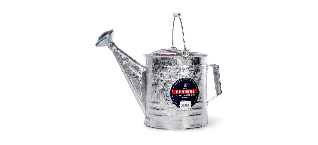 Behrens Steel Watering Can on white background