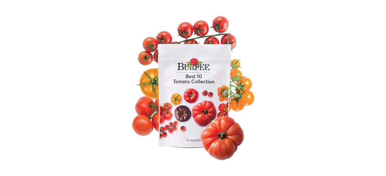 Burpee Best 10 Non-GMO Planting Tomato Seeds