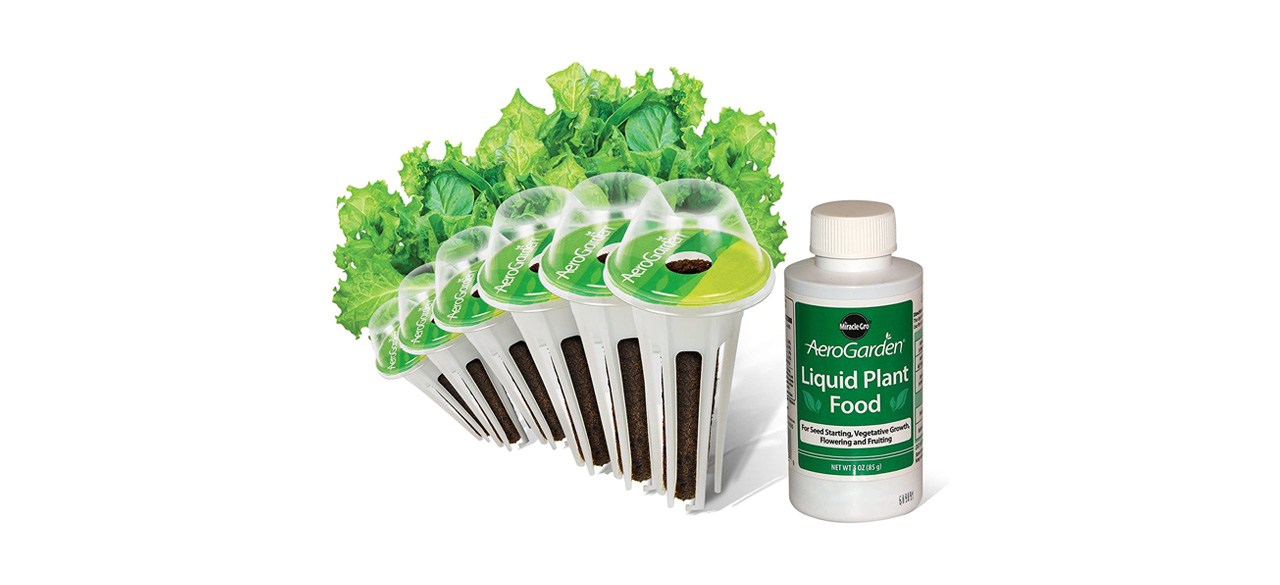 Best Aerogarden Salad Greens Seed Pod Kit