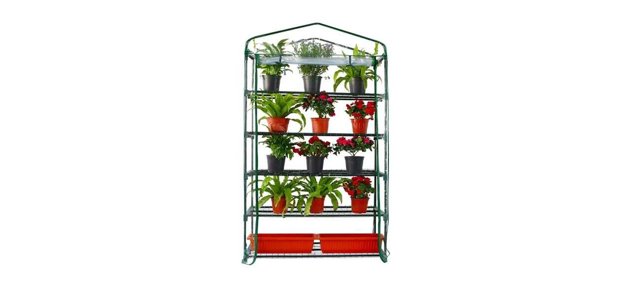 Best Worth Extra Wide Mini Greenhouse