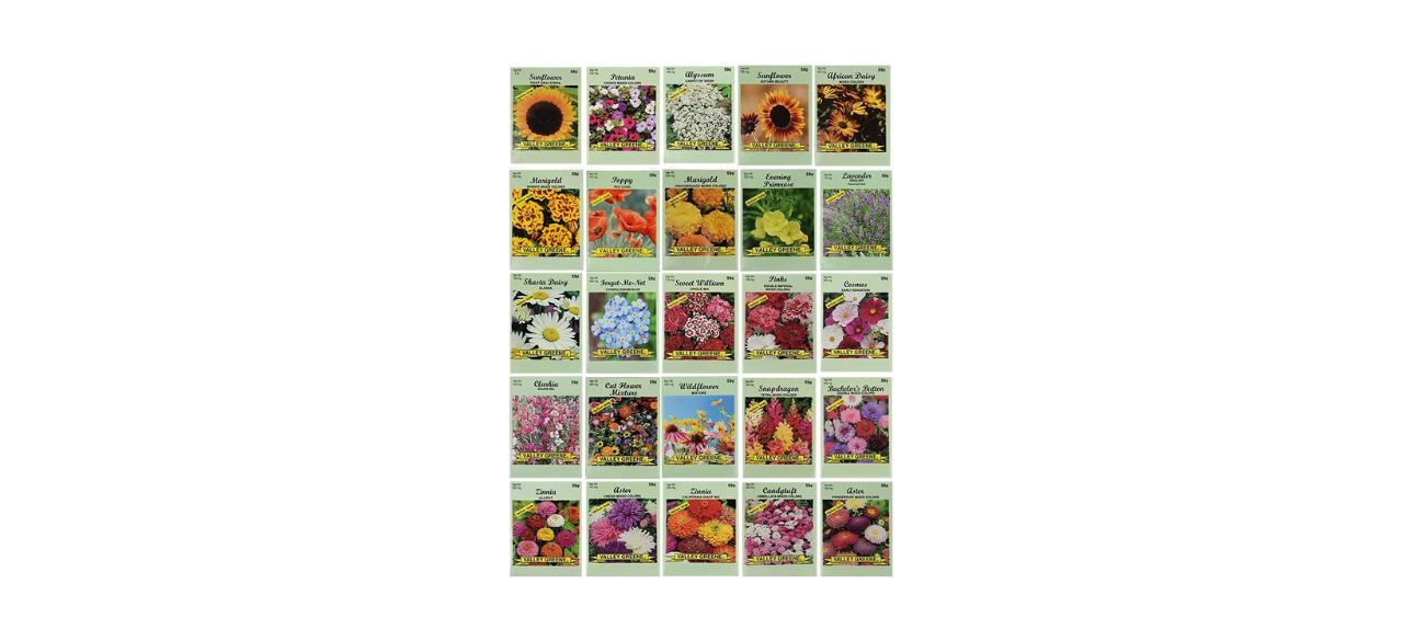 Black Duck Brand 25 Slightly Assorted Flower Seed Packets