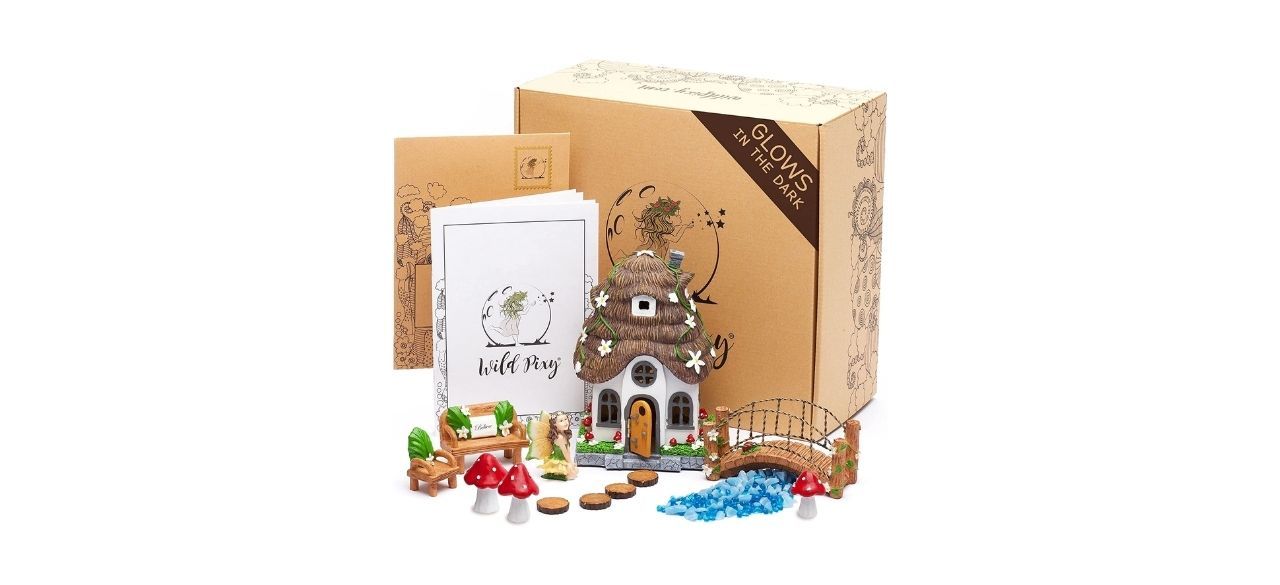 WILD PIXY Fairy Garden Kit