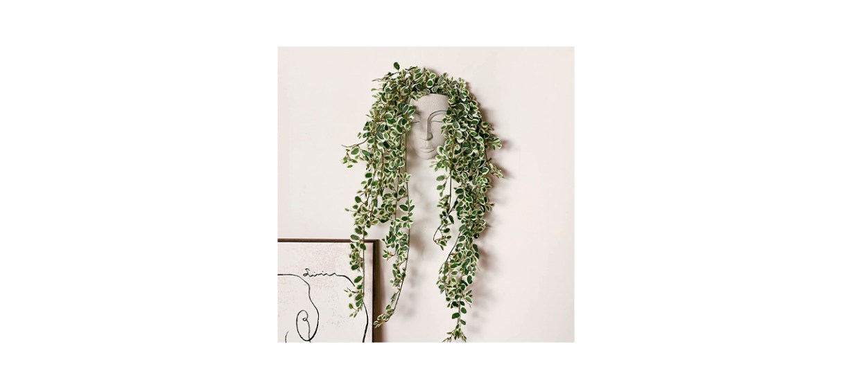 Yikush Mounted Face Wall Planter