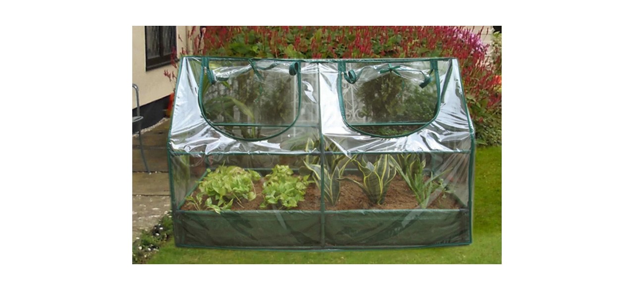 Zenport D Cold Frame Greenhouse