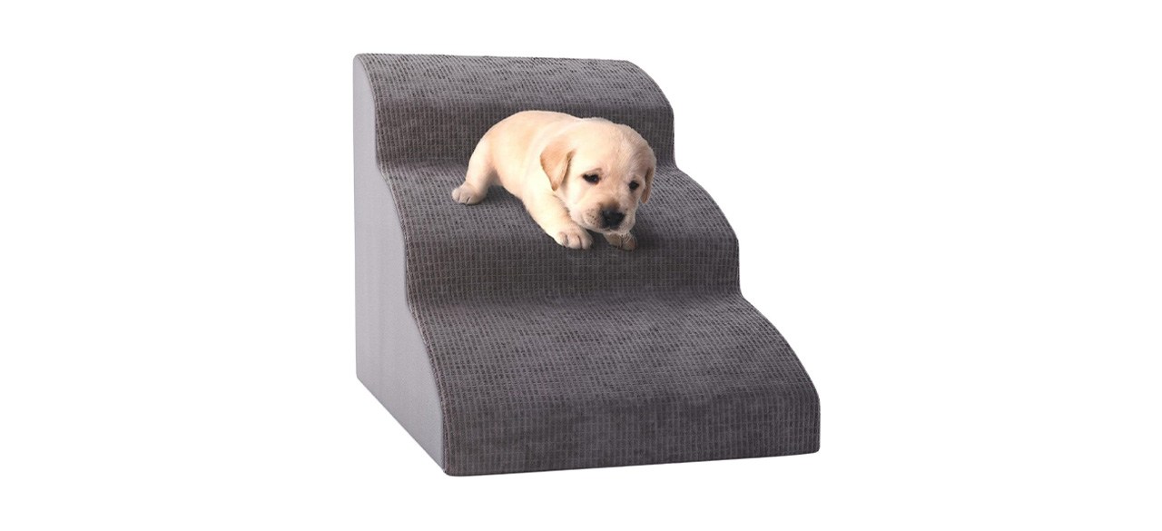 Zicoto Sturdy Dog Stairs and Ramp