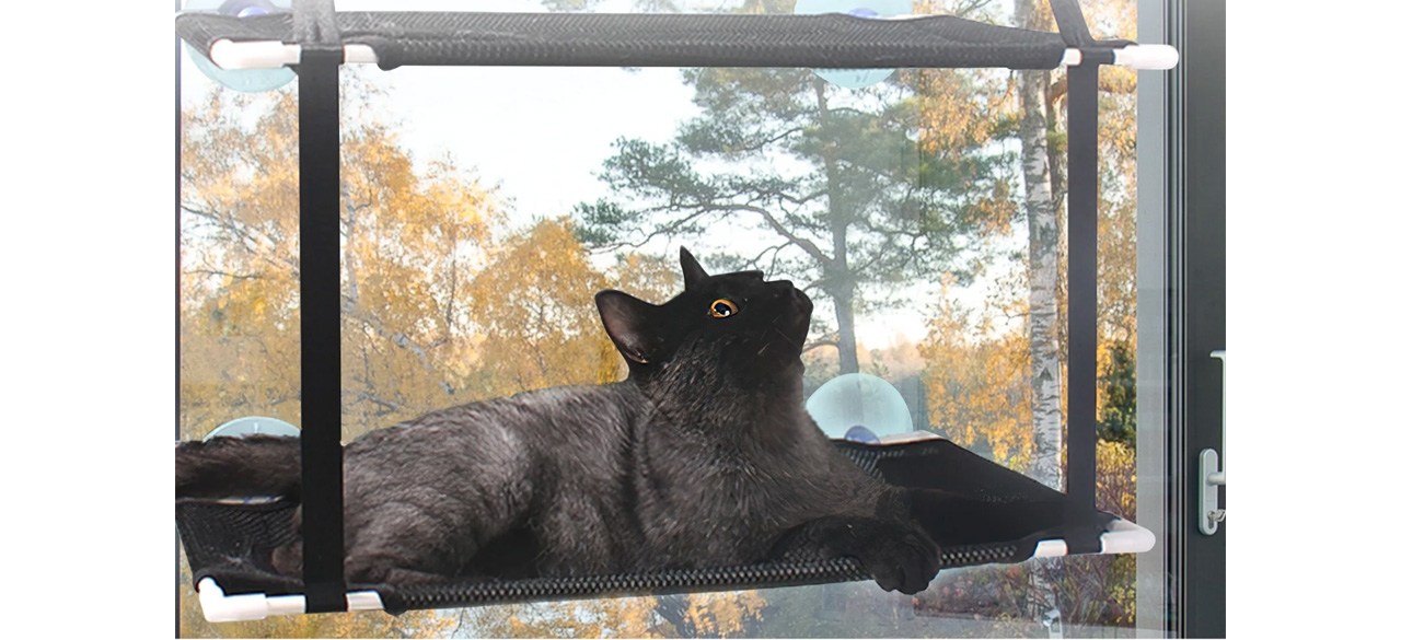 Cat sitting on ZUPOX Cat Window Perch