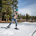 5 Best Hiking Poles - May 2021 - BestReviews