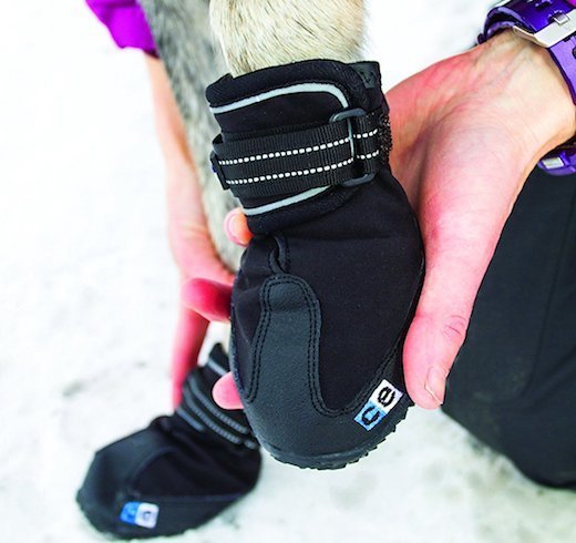 walkies dog boots