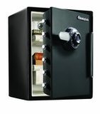 Best Wall Safes