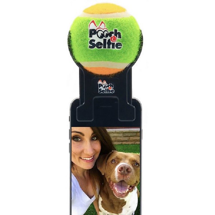 dog ball selfie