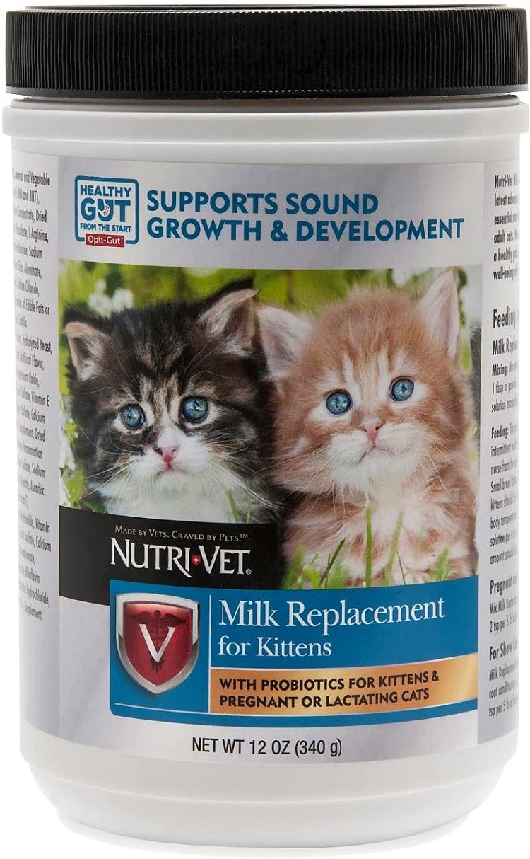 cheap kitten formula