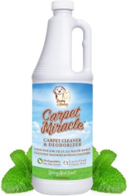 Carpet Miracle