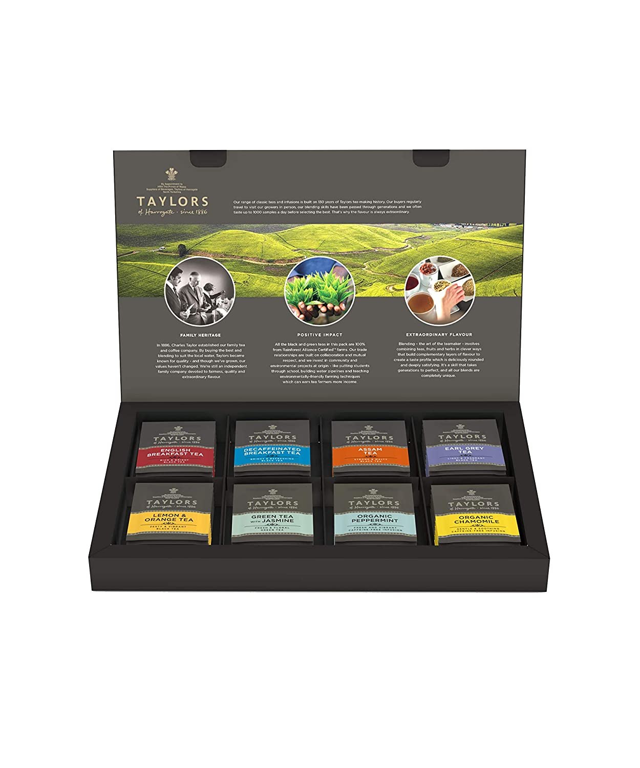 Taylors of Harrogate Classic Tea Variety Box, 48 Count