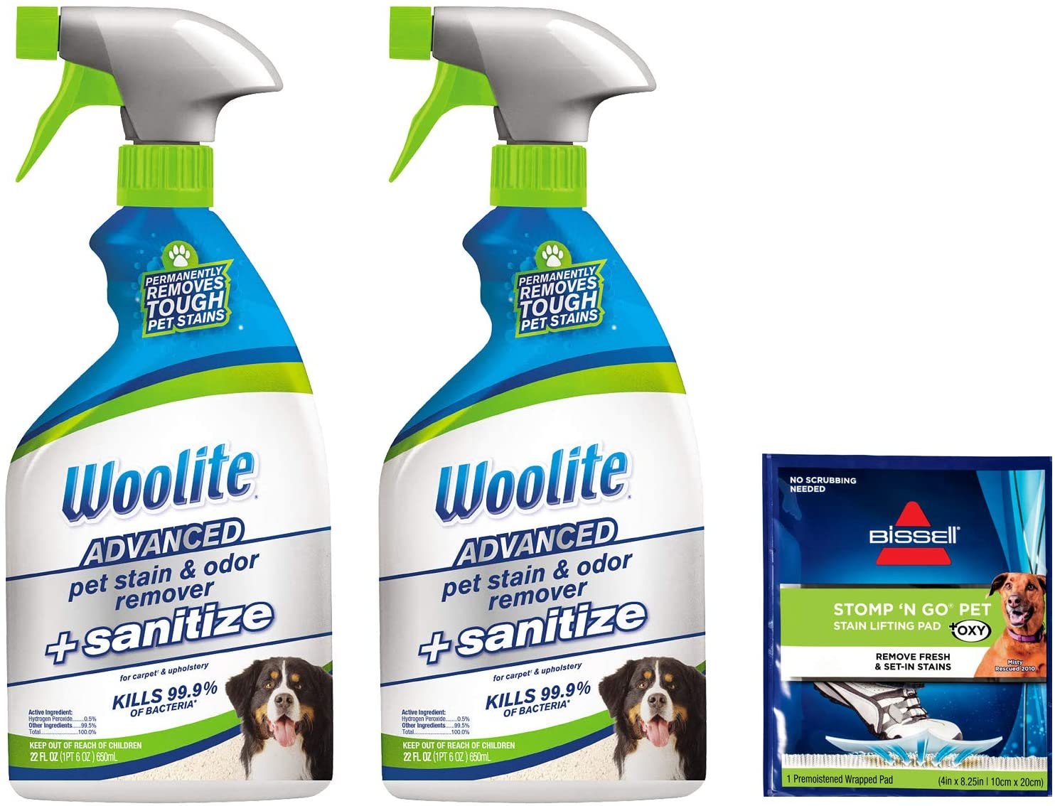 Best pet stain on sale and odor remover