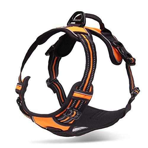 Chai&#039;s Choice 3M Reflective No Pull Dog Harness