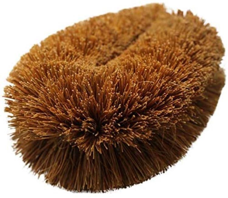 Tawashi Fruit and Vegetable Brush