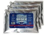 Best Lunch Ice Packs 