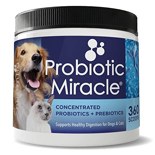 what is the best natural probiotic for dogs