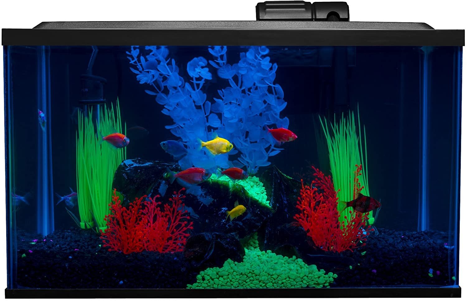 Glofish Aquarium Kit Fish Tank