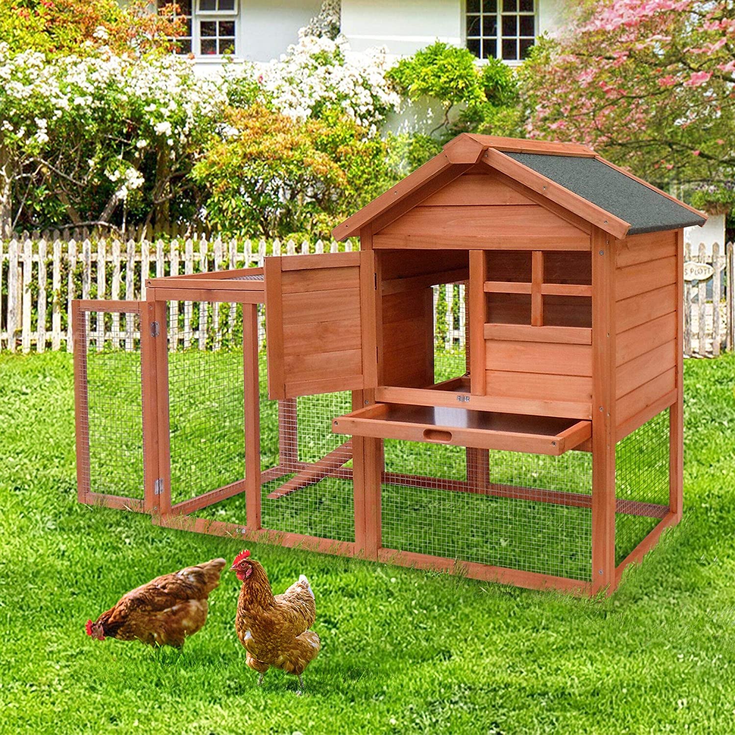 The Best Chicken Coop and Accessories of 2024