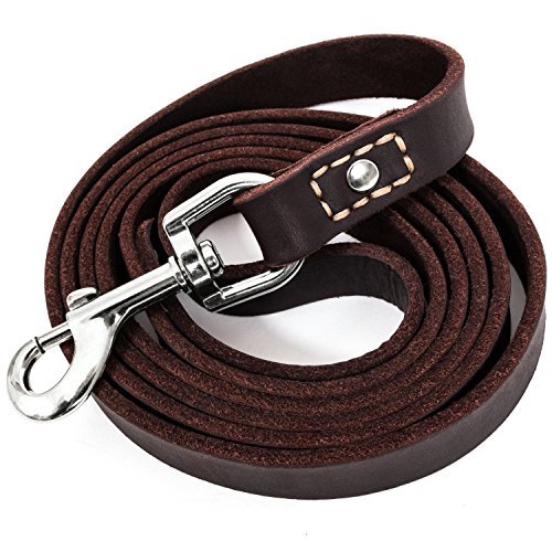 what is the best leash for a large dog