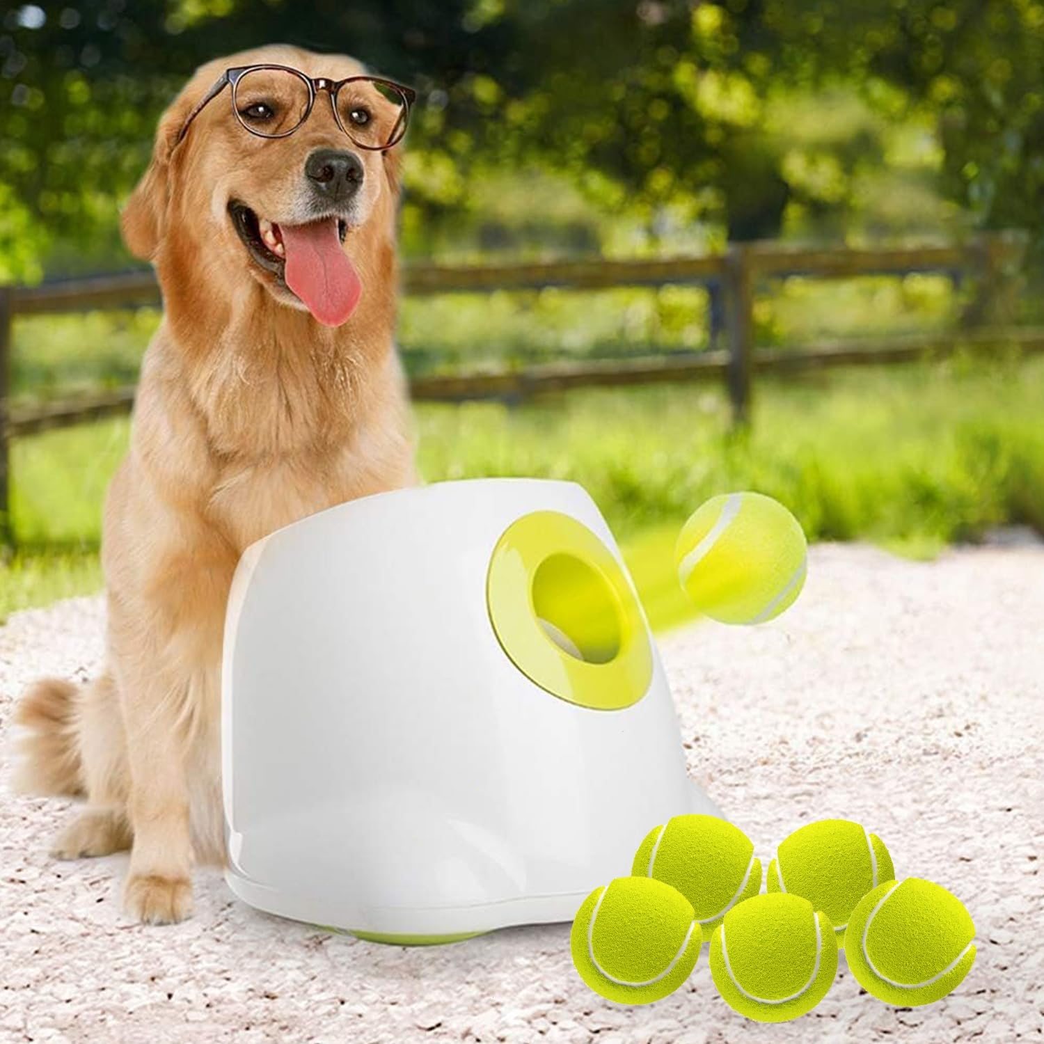 All for Paws 2.5-inch Max Automatic Ball Launcher
