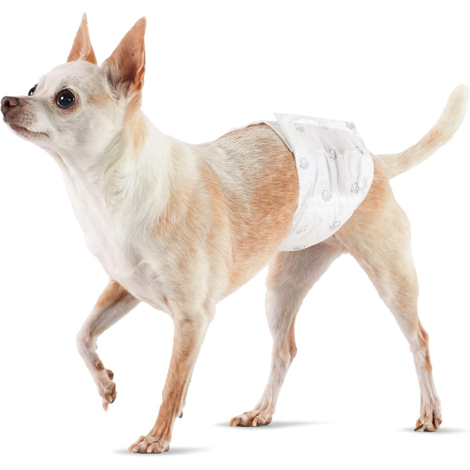 Amazon Basics Dog Wraps for Males