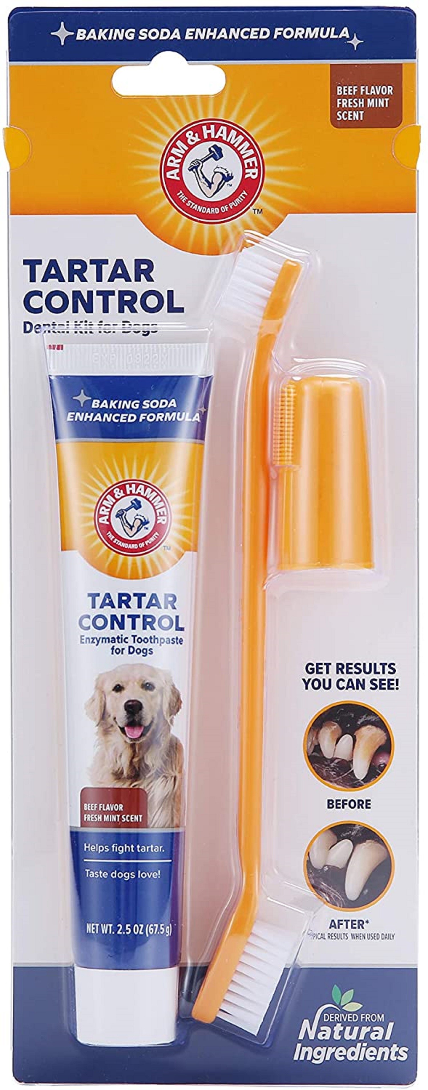 can dog toothpaste cause upset stomach