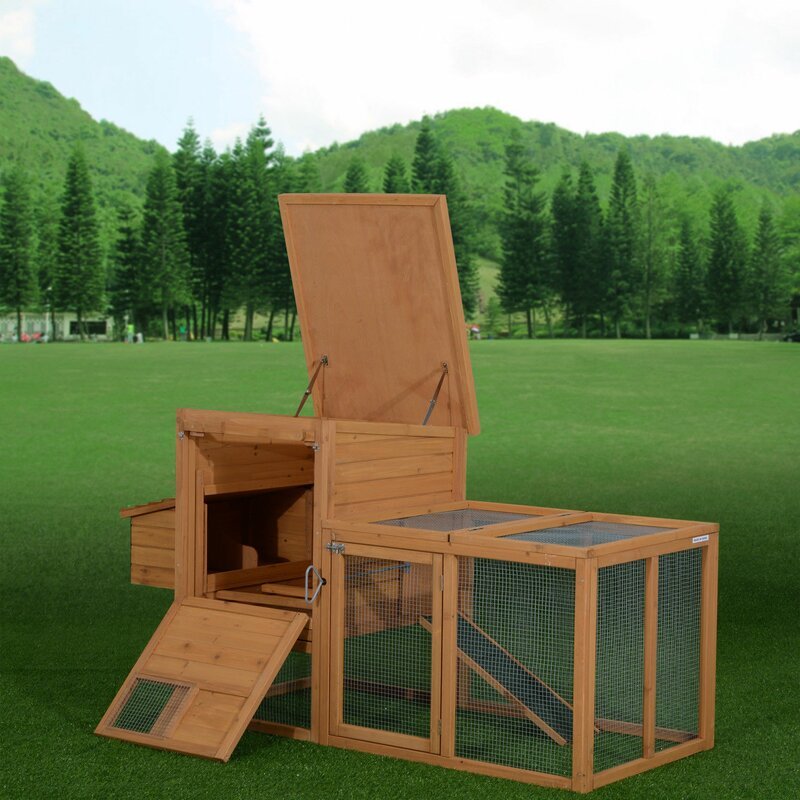 https://cdn.bestreviews.com/images/v4desktop/product-matrix/auggie-chicken-coop-with-chicken-run-for-up-to-4-chickens-df398a.jpg