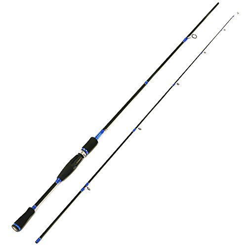 Entsport Sirius 2-Piece Spinning Rod