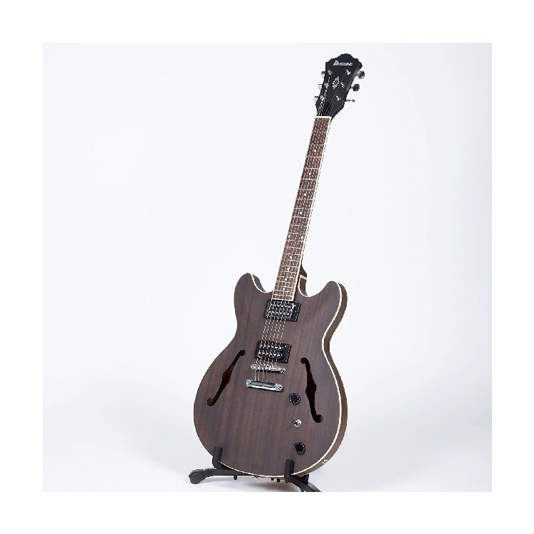 Ibanez Semi-Hollow 6-String Acoustic-Electric Guitar
