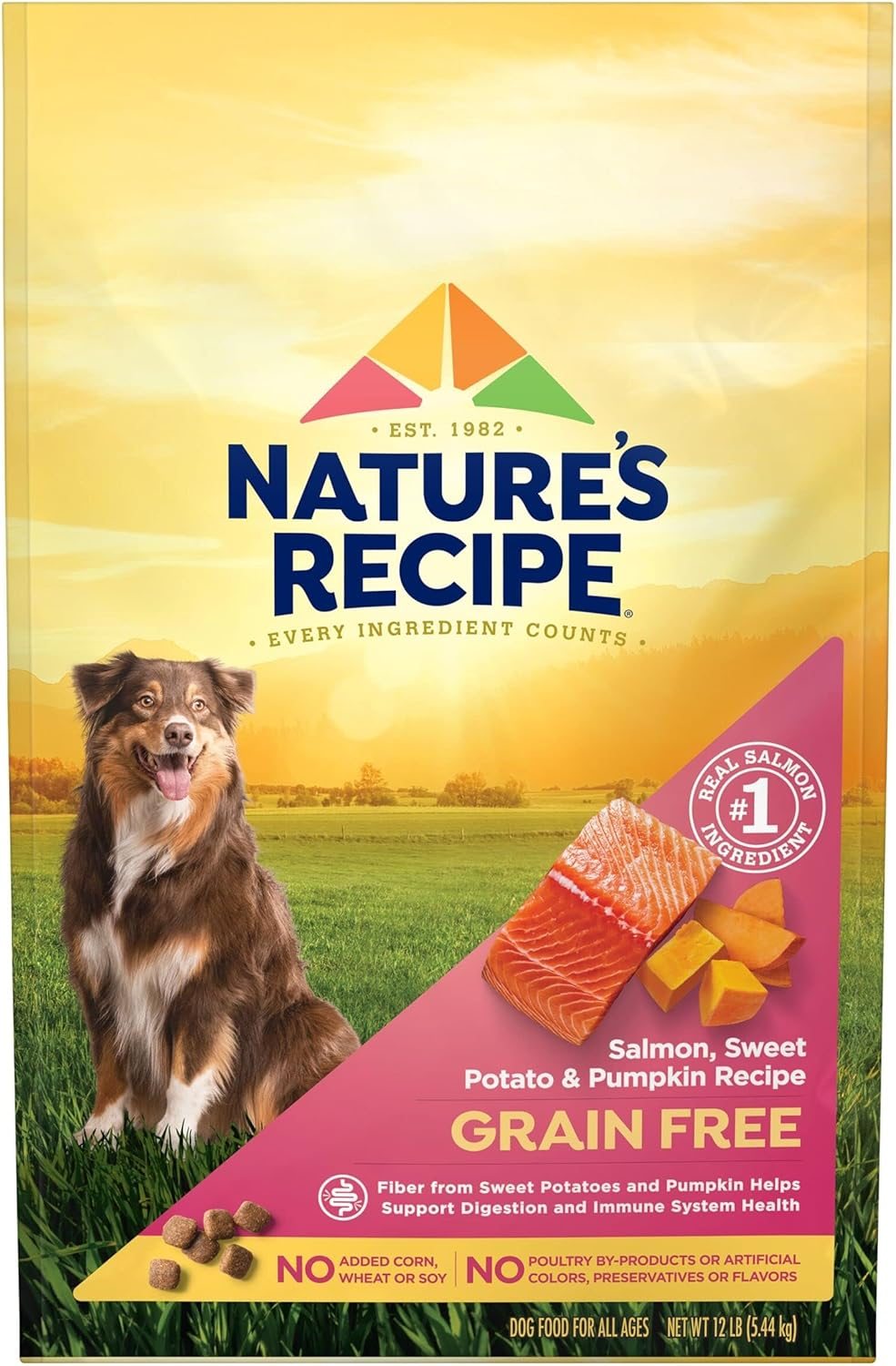 Nature&#039;s Recipe Grain-Free Salmon, Sweet Potato &amp; Pumpkin Recipe Dry Dog Food