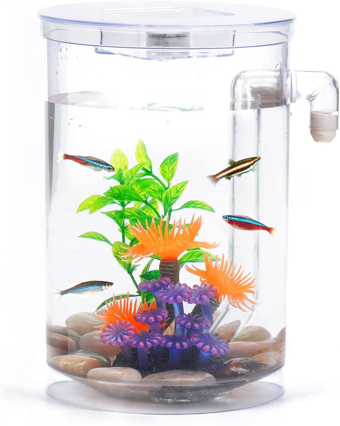 Small Fish Tank, 2 Gallon Glass Aquarium, Betta Fish Shrimp Goldfish  Tropical Fish Starter Kit Self Cleaning with Filter & LED Plant Light